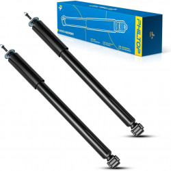 PHILTOP Rear Complete Struts Shock Absorber Compatible with 2005-2010 300, 2007-2010 Charger, 2005-2008 Magnum, Struts with Coil