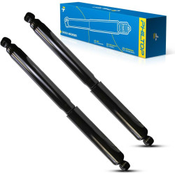 PHILTOP Rear Struts for Ford F150 2015-2020, Shock Absorber Complete Suspension 911335 * 2（349108）, Struts with Coil Spring Asse
